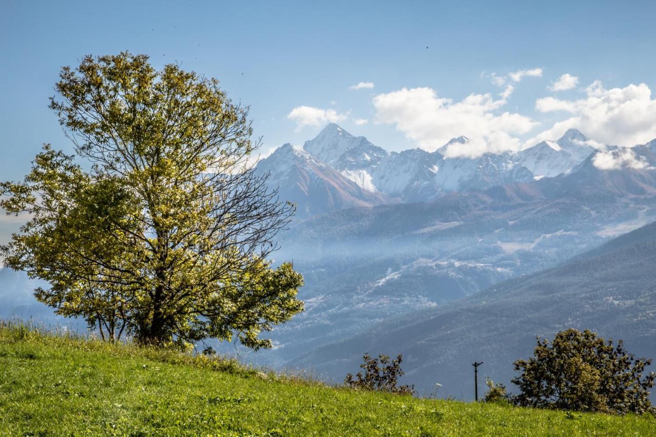 Hotel & Restaurant Saint Nicolas Gran Paradiso エクステリア 写真